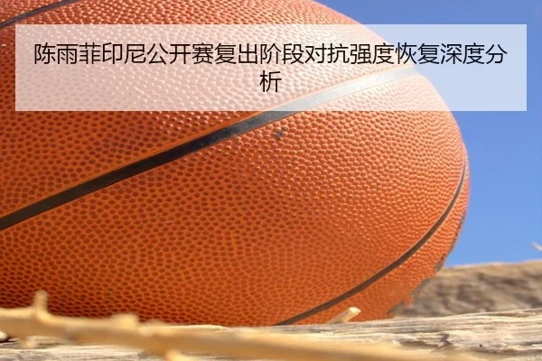 陈雨菲印尼公开赛复出阶段对抗强度恢复深度分析 - MKSports
